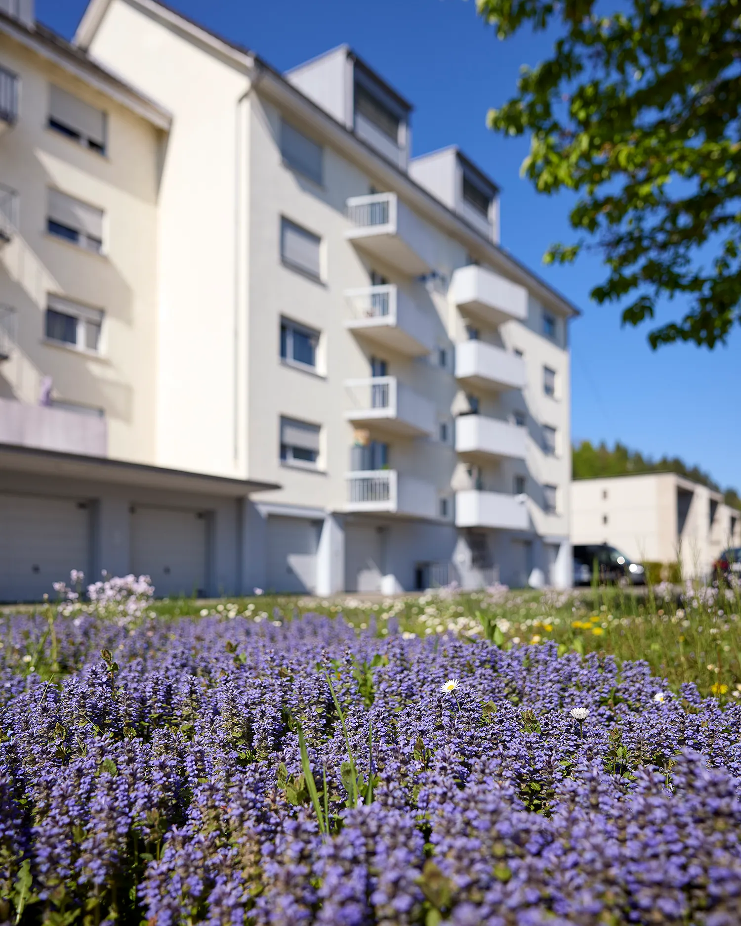 Zoom: wohnbau-genossenschaft_waldheim_winterthur_aktuelles_freihofstrasse_3_5.webp