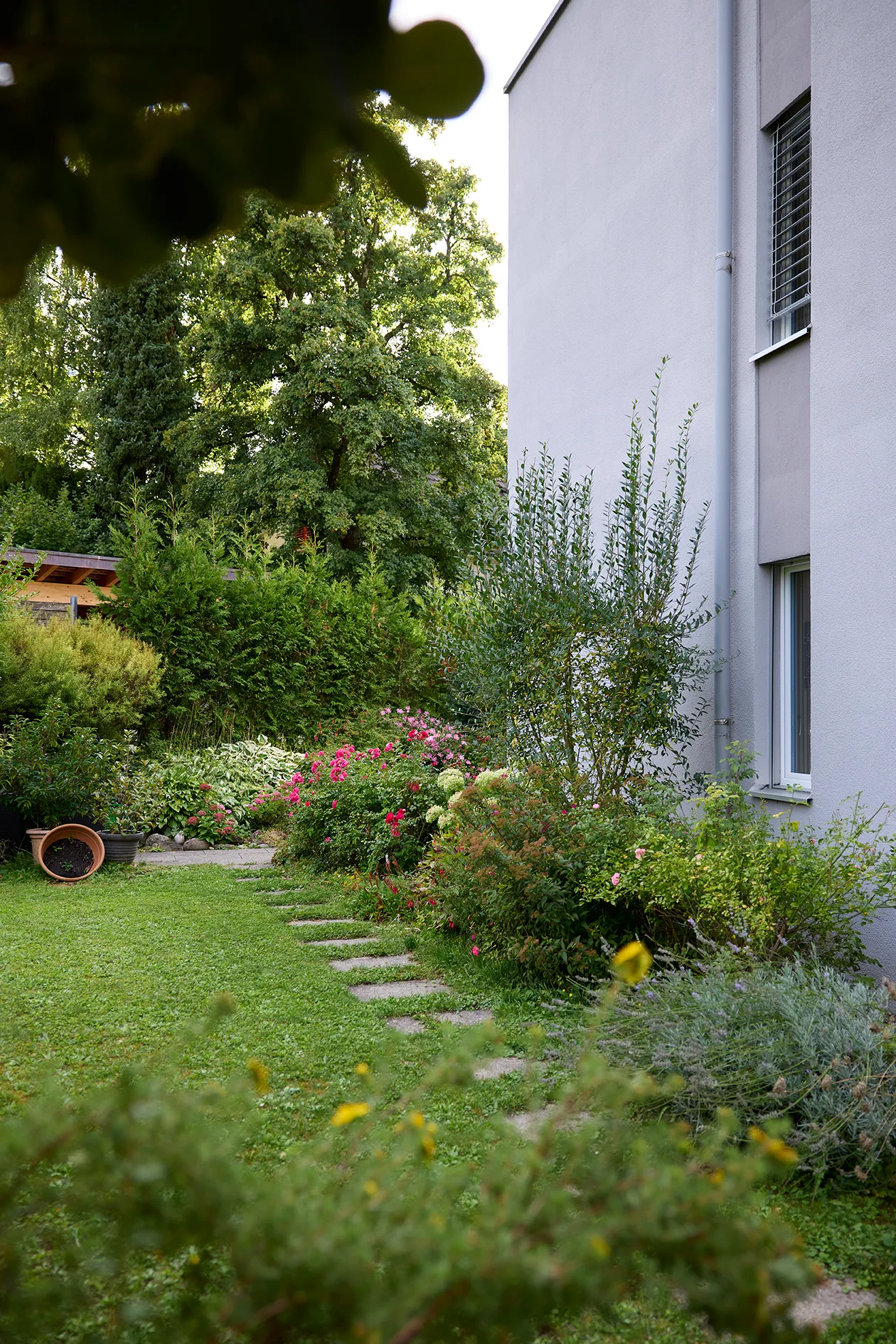 Zoom: wgw_wohnbau-genossenschaft_waldheim_winterthur_siedlung_tosstalstrasse_290_5.webp